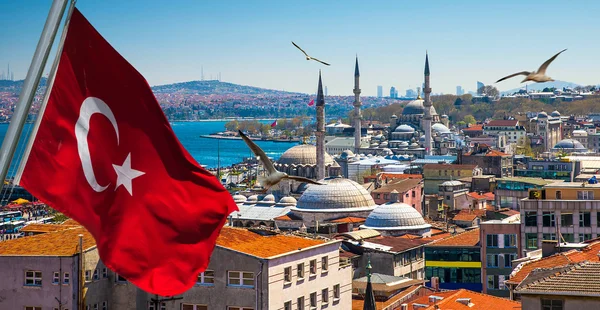 Istanbul flag